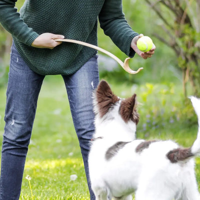 Ballschleuder für Hunde