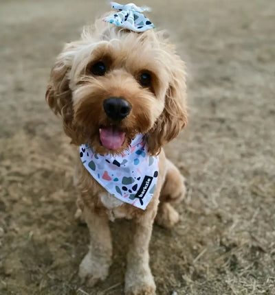 Hundehalstuch/Bandana "Paris"