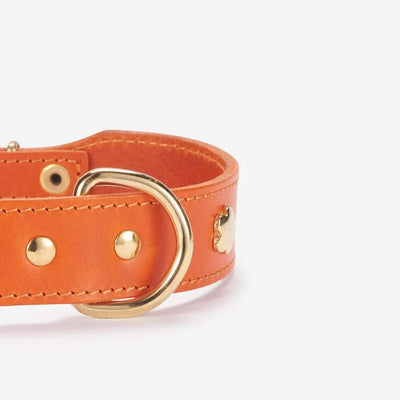 Hundehalsband aus hochwertigem Leder Cognac