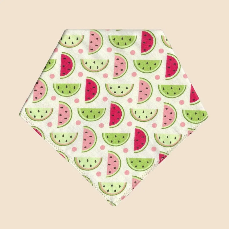 Hundehalsband/Bandana "Wassermelone"