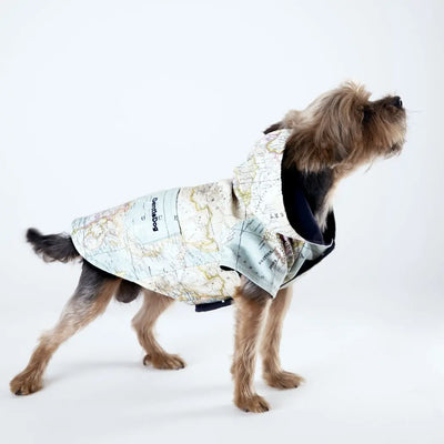 Regenjacke für Hunde "Weltentdecker"