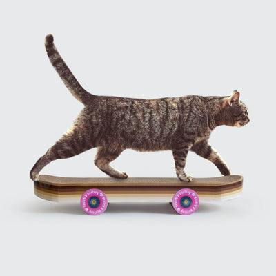 Kratzbrett "Skateboard" Kratzbrett