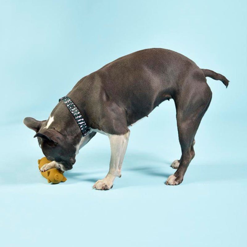 Hundespielzeug "Wursty" Hundespielzeug - PAWDORABLE