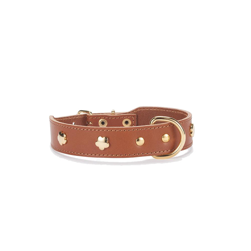 Hundehalsband aus hochwertigem Leder Cognac