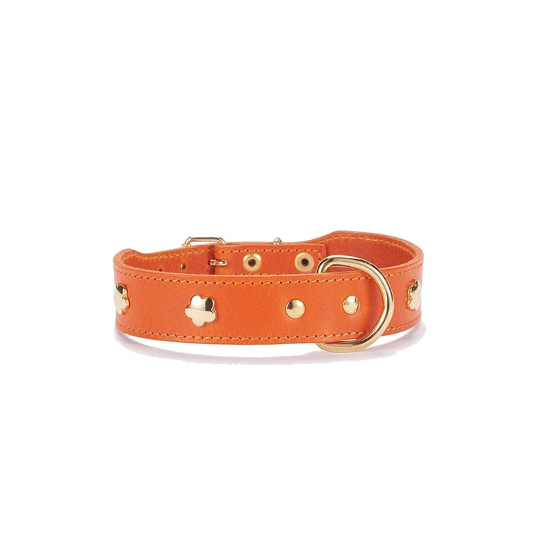 Hundehalsband aus hochwertigem Leder orange