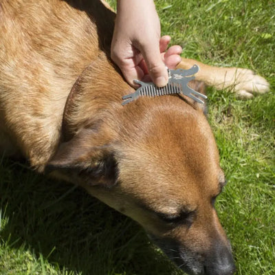 Zeckenkamm für Hunde