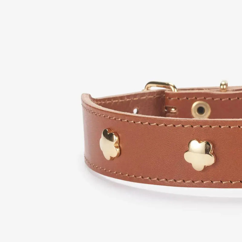 Hundehalsband aus hochwertigem Leder Cognac